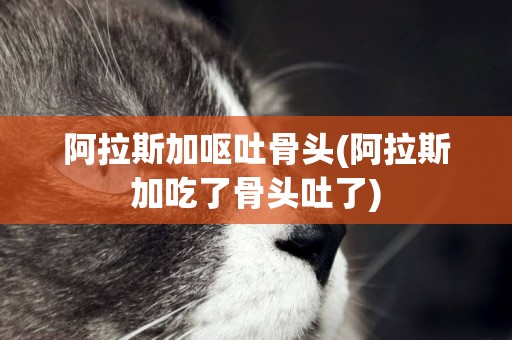 阿拉斯加嘔吐骨頭(阿拉斯加吃了骨頭吐了)