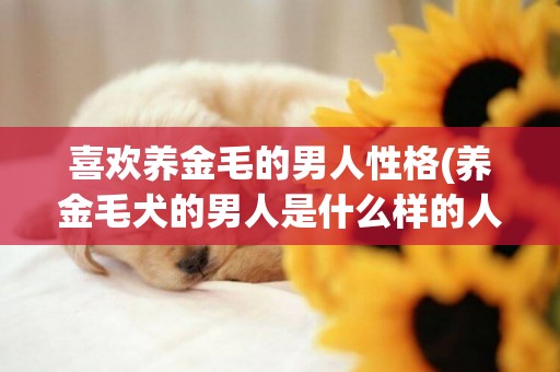 喜歡養金毛的男人性格(養金毛犬的男人是什么樣的人)