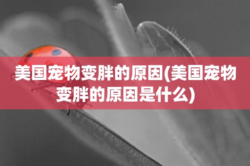 美國寵物變胖的原因(美國寵物變胖的原因是什么)
