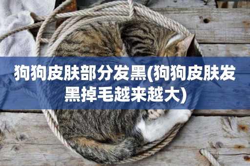 狗狗皮膚部分發黑(狗狗皮膚發黑掉毛越來越大)