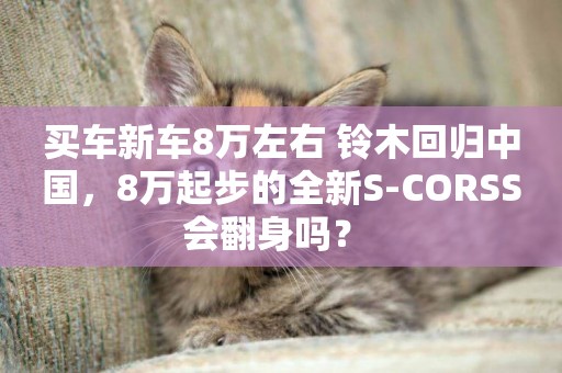 買車新車8萬左右 鈴木回歸中國，8萬起步的全新S-CORSS會翻身嗎？ 
