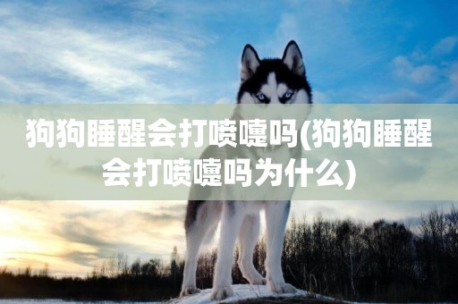 狗狗睡醒會打噴嚏嗎(狗狗睡醒會打噴嚏嗎為什么)