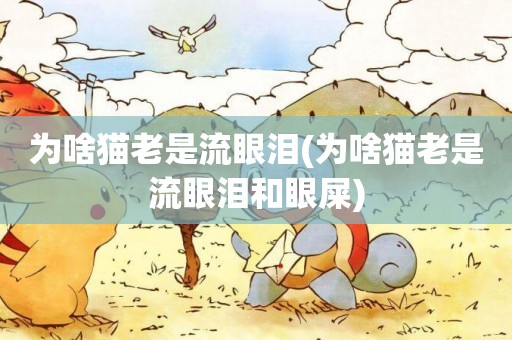 為啥貓老是流眼淚(為啥貓老是流眼淚和眼屎)