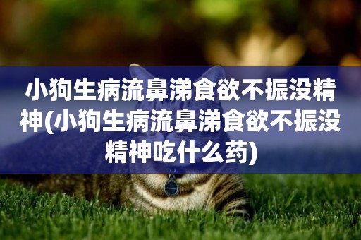 小狗生病流鼻涕食欲不振沒精神(小狗生病流鼻涕食欲不振沒精神吃什么藥)