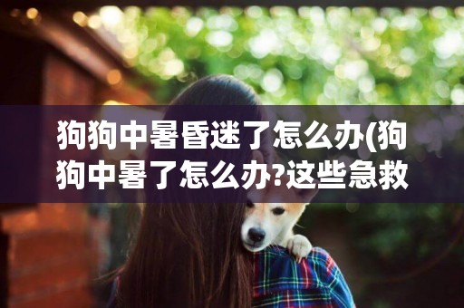 狗狗中暑昏迷了怎么辦(狗狗中暑了怎么辦?這些急救方法你不能不知道!)