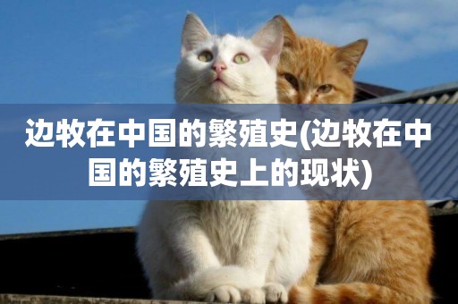 邊牧在中國的繁殖史(邊牧在中國的繁殖史上的現狀)