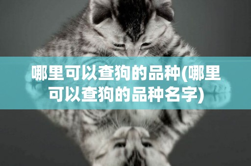 哪里可以查狗的品種(哪里可以查狗的品種名字)