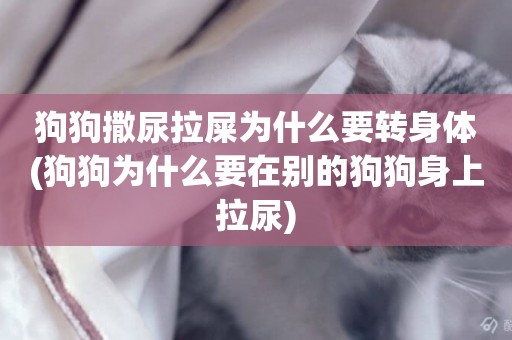狗狗撒尿拉屎為什么要轉身體(狗狗為什么要在別的狗狗身上拉尿)