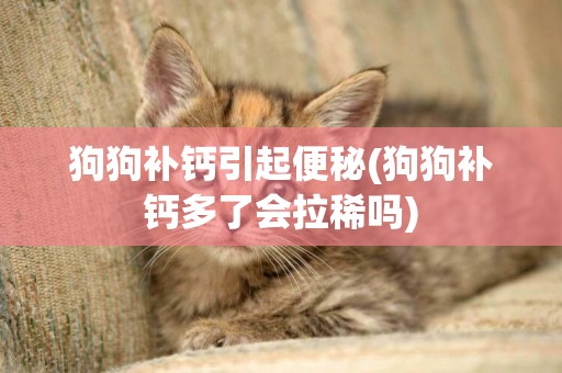 狗狗補鈣引起便秘(狗狗補鈣多了會拉稀嗎)