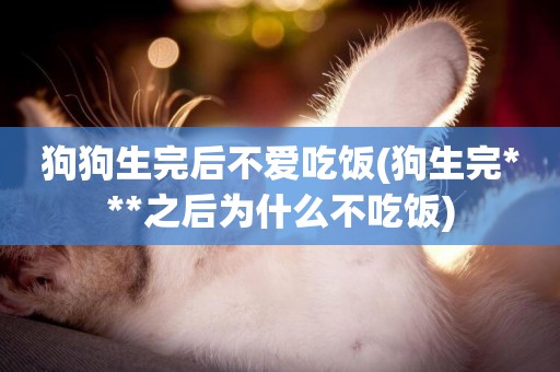 狗狗生完后不愛吃飯(狗生完***之后為什么不吃飯)