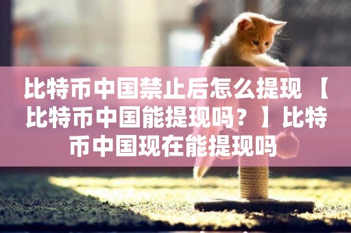 比特幣中國禁止后怎么提現 【比特幣中國能提現嗎？】比特幣中國現在能提現嗎 