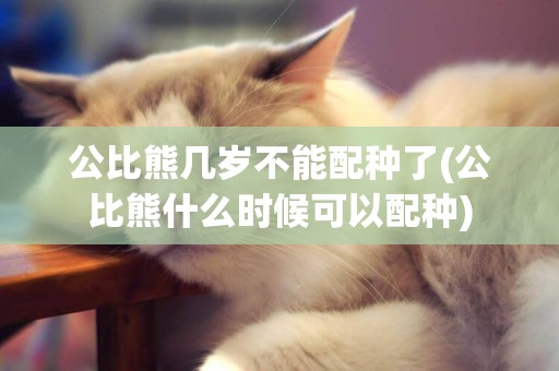 公比熊幾歲不能配種了(公比熊什么時候可以配種)