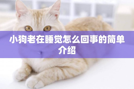 小狗老在睡覺怎么回事的簡單介紹