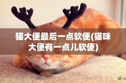 貓大便最后一點軟便(貓咪大便有一點兒軟便)