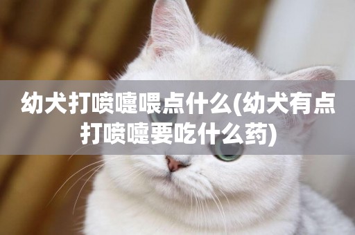 幼犬打噴嚏喂點什么(幼犬有點打噴嚏要吃什么藥)