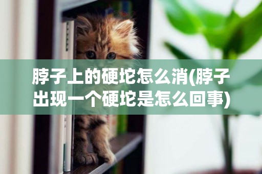脖子上的硬坨怎么消(脖子出現一個硬坨是怎么回事)