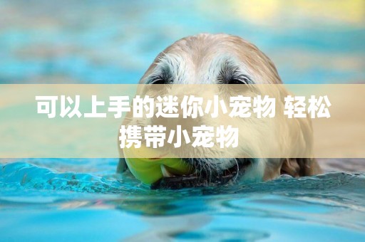可以上手的迷你小寵物 輕松攜帶小寵物 