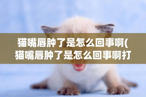 貓嘴唇腫了是怎么回事啊(貓嘴唇腫了是怎么回事啊打噴嚏)