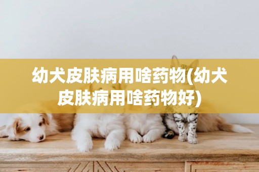 幼犬皮膚病用啥藥物(幼犬皮膚病用啥藥物好)