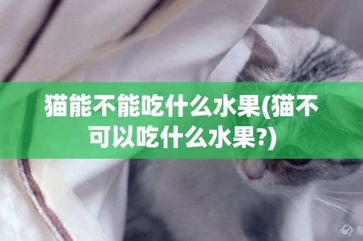 貓能不能吃什么水果(貓不可以吃什么水果?)