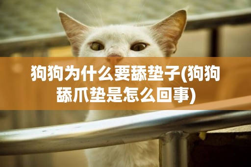 狗狗為什么要舔墊子(狗狗舔爪墊是怎么回事)
