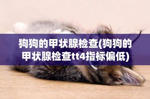 狗狗的甲狀腺檢查(狗狗的甲狀腺檢查tt4指標偏低)