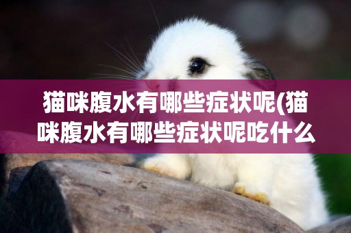 貓咪腹水有哪些癥狀呢(貓咪腹水有哪些癥狀呢吃什么藥)