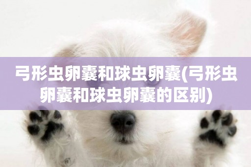 弓形蟲卵囊和球蟲卵囊(弓形蟲卵囊和球蟲卵囊的區別)