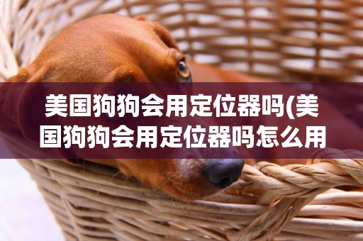 美國狗狗會用定位器嗎(美國狗狗會用定位器嗎怎么用)