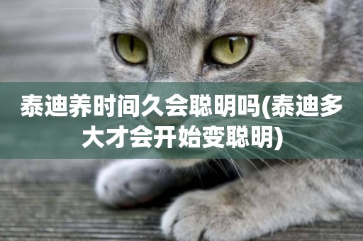 泰迪養時間久會聰明嗎(泰迪多大才會開始變聰明)