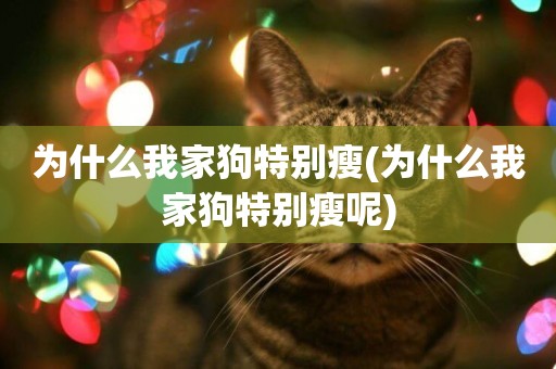 為什么我家狗特別瘦(為什么我家狗特別瘦呢)