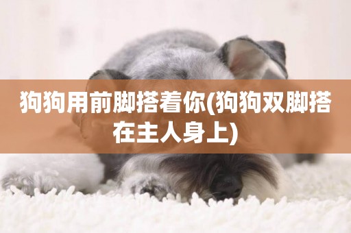 狗狗用前腳搭著你(狗狗雙腳搭在主人身上)
