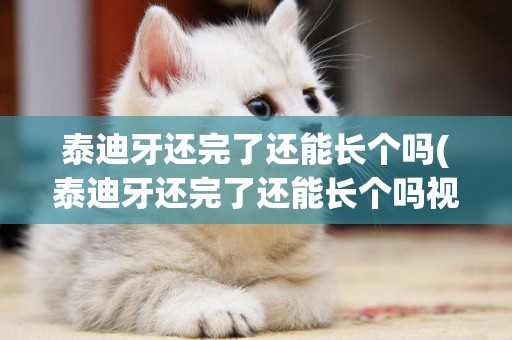 泰迪牙還完了還能長個嗎(泰迪牙還完了還能長個嗎視頻)