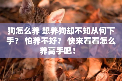 狗怎么養 想養狗卻不知從何下手？ 怕養不好？ 快來看看怎么養高手吧！ 