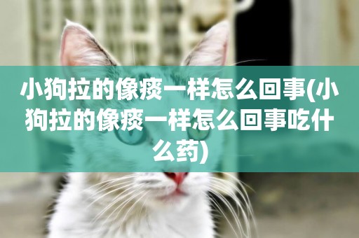 小狗拉的像痰一樣怎么回事(小狗拉的像痰一樣怎么回事吃什么藥)