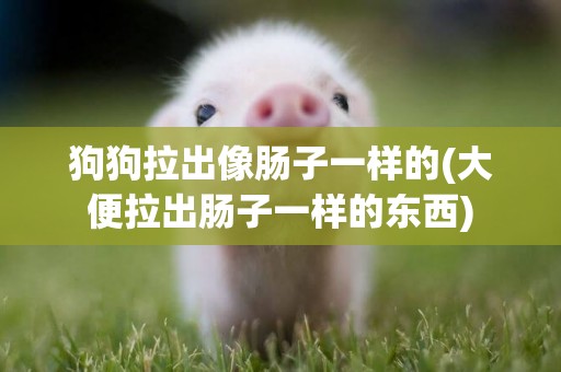 狗狗拉出像腸子一樣的(大便拉出腸子一樣的東西)