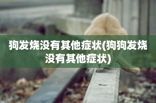 狗發燒沒有其他癥狀(狗狗發燒沒有其他癥狀)