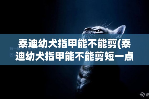 泰迪幼犬指甲能不能剪(泰迪幼犬指甲能不能剪短一點)