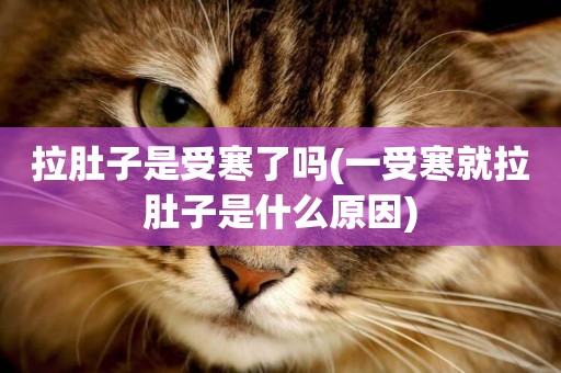 拉肚子是受寒了嗎(一受寒就拉肚子是什么原因)