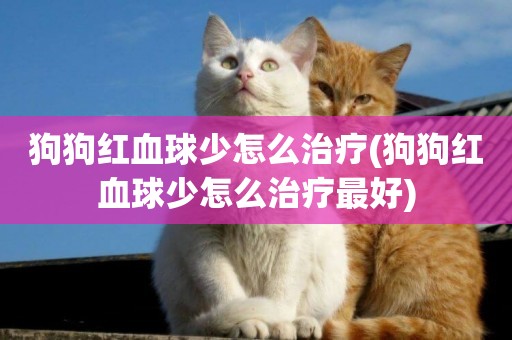 狗狗紅血球少怎么治療(狗狗紅血球少怎么治療最好)