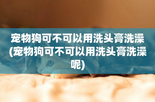 寵物狗可不可以用洗頭膏洗澡(寵物狗可不可以用洗頭膏洗澡呢)