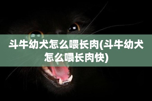 斗牛幼犬怎么喂長肉(斗牛幼犬怎么喂長肉快)
