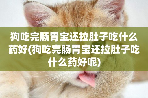 狗吃完腸胃寶還拉肚子吃什么藥好(狗吃完腸胃寶還拉肚子吃什么藥好呢)