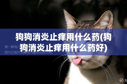 狗狗消炎止癢用什么藥(狗狗消炎止癢用什么藥好)