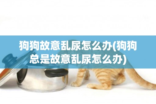 狗狗故意亂尿怎么辦(狗狗總是故意亂尿怎么辦)