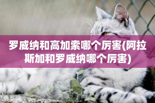 羅威納和高加索哪個厲害(阿拉斯加和羅威納哪個厲害)
