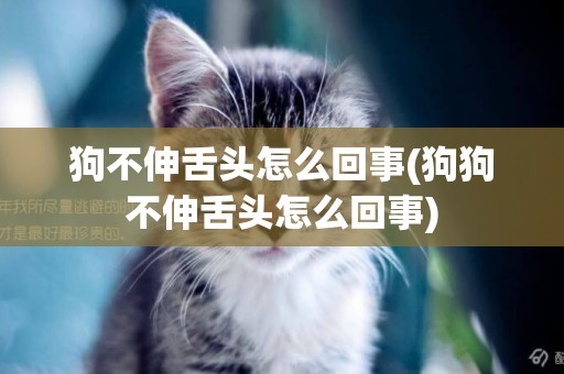 狗不伸舌頭怎么回事(狗狗不伸舌頭怎么回事)