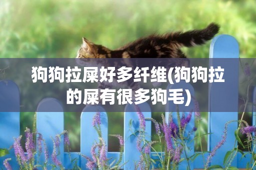狗狗拉屎好多纖維(狗狗拉的屎有很多狗毛)