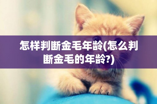 怎樣判斷金毛年齡(怎么判斷金毛的年齡?)