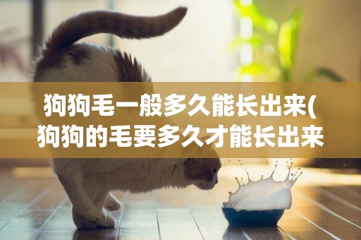 狗狗毛一般多久能長出來(狗狗的毛要多久才能長出來)